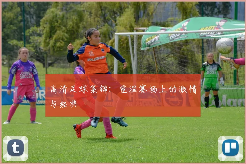 高清足球集锦：重温赛场上的激情与经典